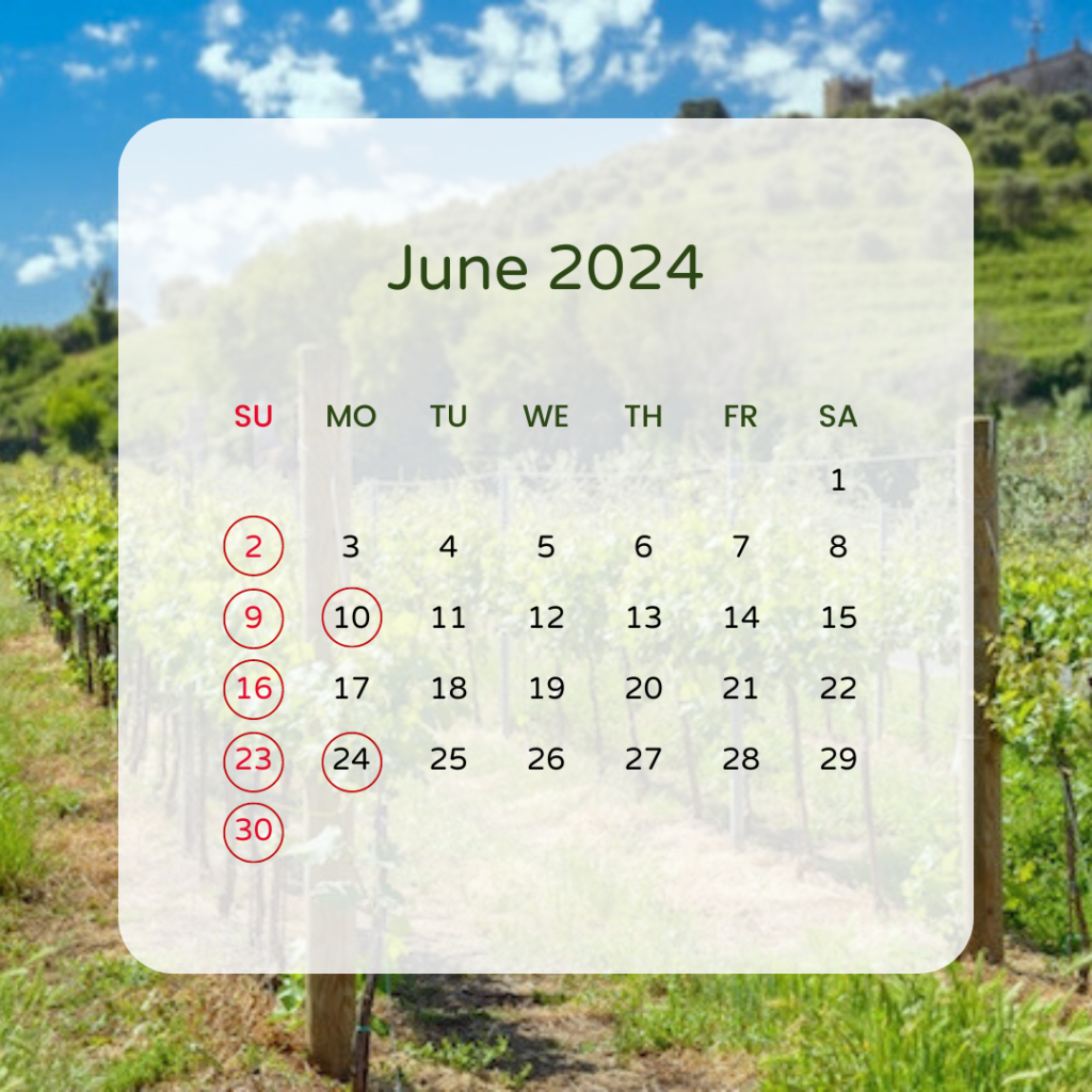 Dark Green Minimalist August 2022 Calendar Instagram Post_20240516_165216_0000